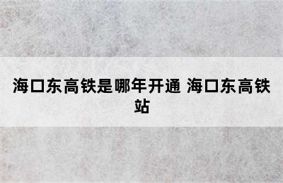 海口东高铁是哪年开通 海口东高铁站